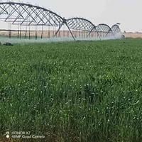 النجف قرب معمل كار • ٧٠٠دونم • مرشات شمسية