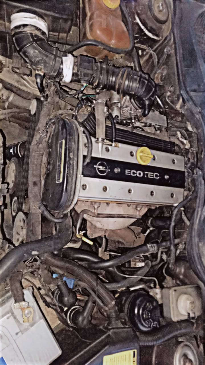 اوبل بزون
1994
شرط تحویل آو وكالة 
بدون صربة سبوغ عام لل جمالیة 
سعر 40 بیها مجال 
***********
