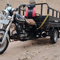 ستوته • مديل ٢٠٢١ • رقم انكليزي