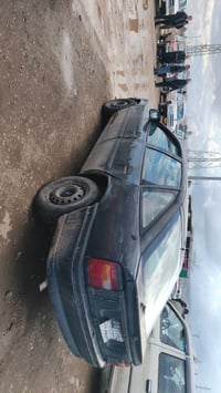 حالة جيدة • للبيع • شمشمل