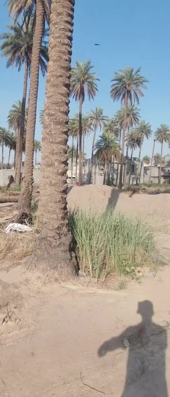 قطعه للبيع مساحه 180 م
واجها 11 اله ربع
سعرها مناسب للاستثمار 43 وبيها مجال
للاستفسار اتصل ع رقم ***********
سند ٢٥ مناصفه مع الوقف
