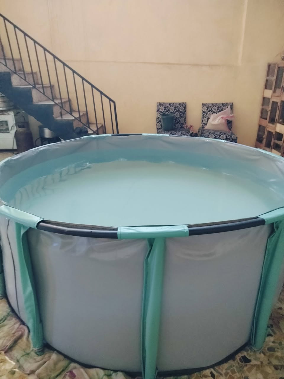 مسبح للبيع السعر /60/ العرض مترين ونص / و الطول 80 /سانتي متر / العنوان موصل راس
 الجاده


**إذا كنت صاحب هذا الإعلان وتريد حذفه لأي سبب، رجاءا أرسل رسالة إلى الدعم الفني**