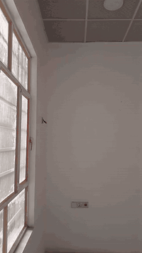 السلام عليكم 
جملون  للايجار 
المساحه 600 متر 
العرض 15متر  الطول 40 متر 
يحتوي على غرفه حجم5×4
كامل وجاهز للايجار جديد وغير مستخدم 
الموقع مثالي يقع على طريق العام  حصوه حله مقابل محطة الغصون مقابل معمل الهادي للاعلاف
***********
