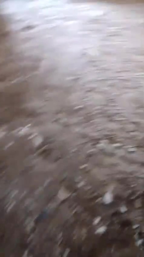 السلام عليكم يوجد لدينا كادر تفليش البيوت و قص الرباطات و قلع الراضي وتگشير الجرذان گافت انواع التفتيش با انسب السعار بغداد فقط ***********
