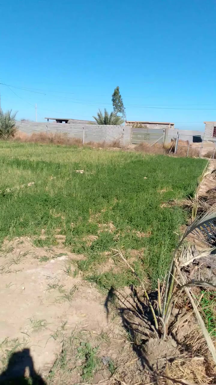 يوجد ارض زراعي للبيع في الصقلاويه ابو سديره الولا كامله الخدمات وتبليط للستفسار ***********
