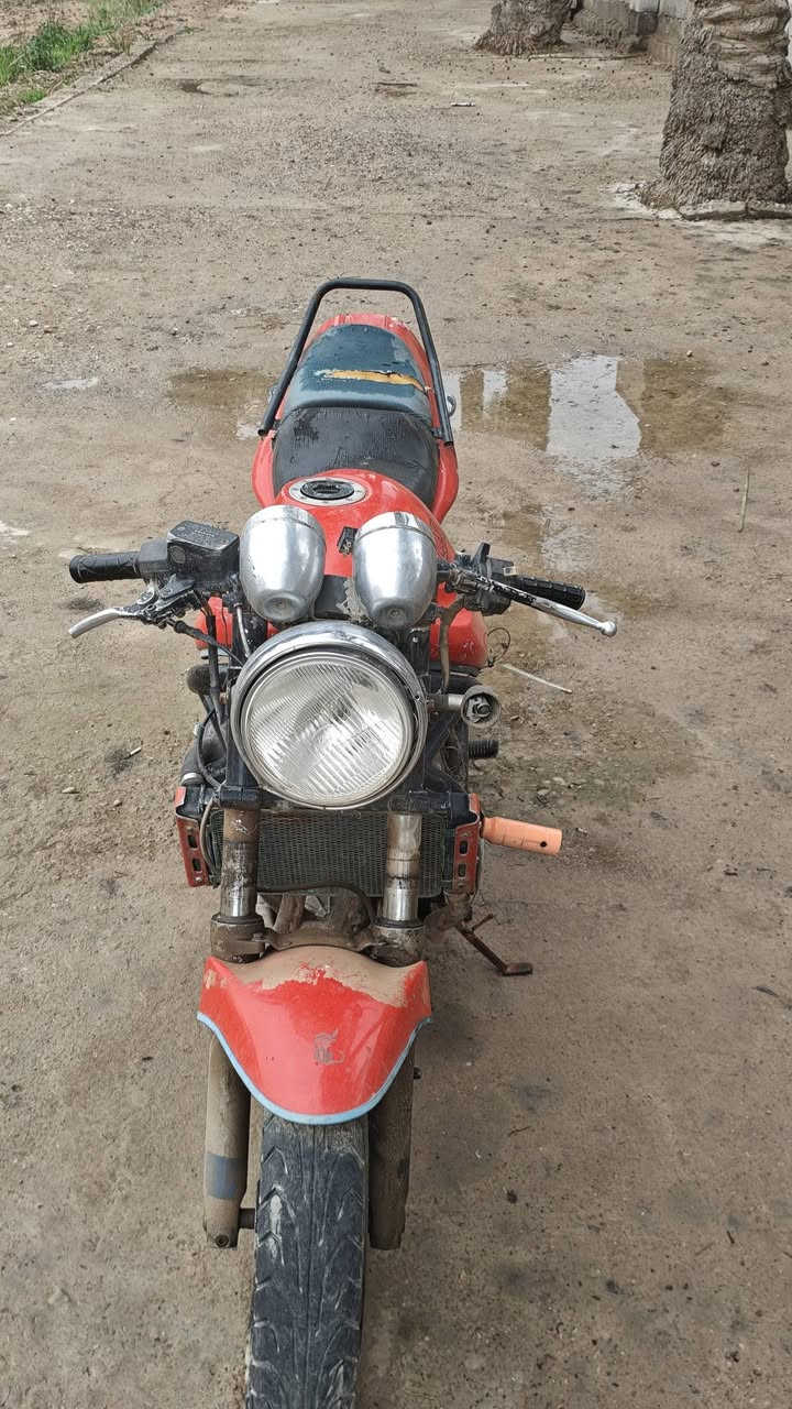 بانده ربع للبيع اوراق كامله متروكه كابريترات تبانه سعر 300رقمي ***********
