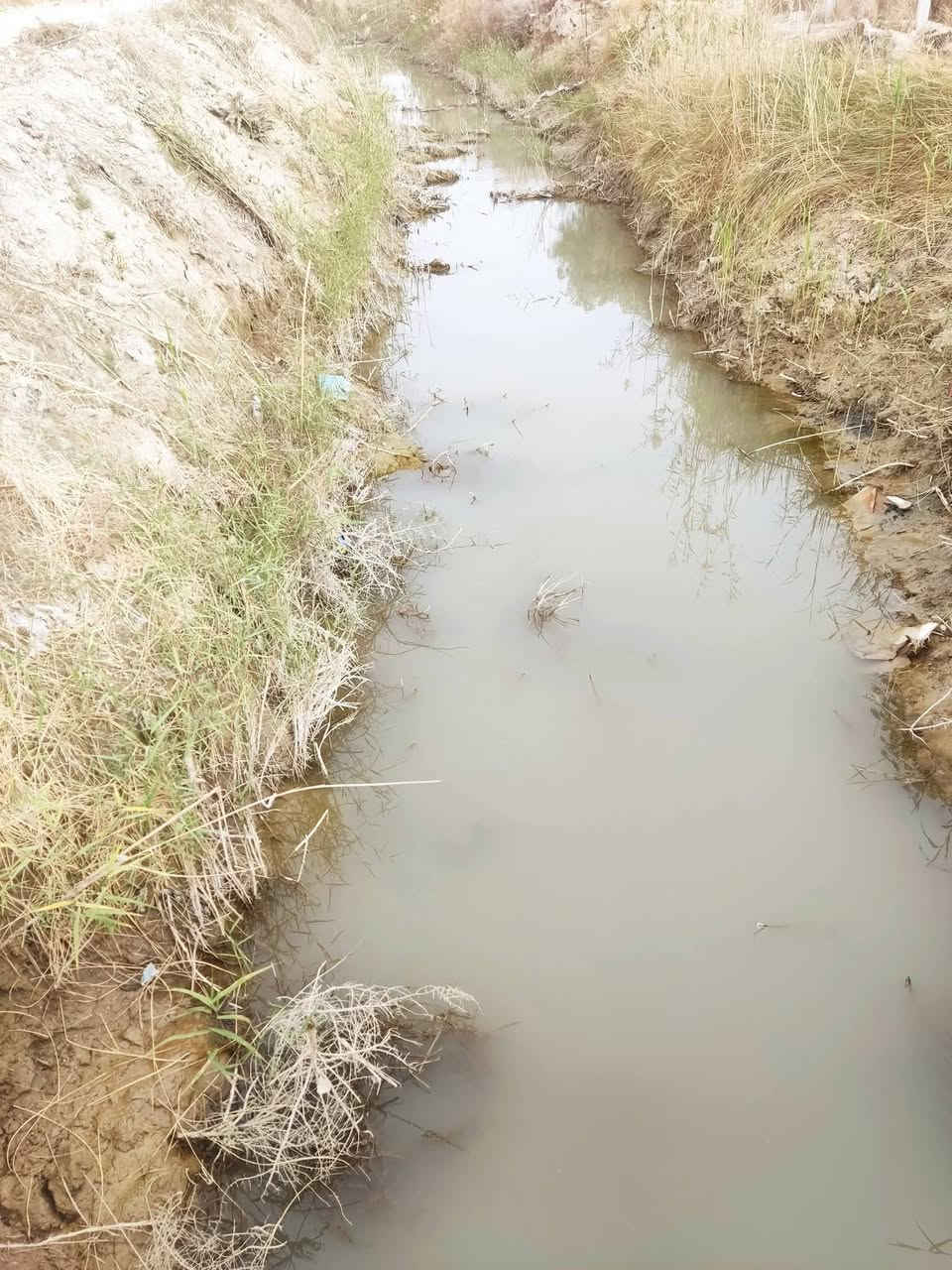 السَلآْم عَلْيُكّمٌ وٍرٍحَمُةّ الله وٍبُرٍكآتُهْ.🌿
بستان مع بيت غرفه ومطبخ وصحيات خارجية زراعي گرمه بني سعيد على نهر الحميدي على اطراف گرمه بني سعيد موقعه  خلف الهرد  النهر بصفه ماء وماطور أيضآ 

المساحه 1850متر 

البستان بيه 63 نخله ونبك ورد النخل بيه افضل نوعيه 

السعر مناسب 💵 40 وبيه مجال 

نستقبل كافة العروض سوك شيوخ وگرمه بني سعيد 

مراسله 📩 الصفحه او الاتصال 📞 على رقمي التالي
 ***********
متواجدواتساب 👆
