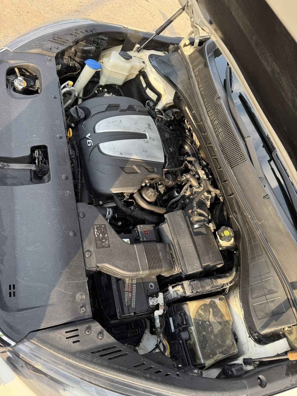 السلام عليكم
سورينتو ٢٠٢٠ خليجي ٦سلندر السيارة نظيفة بيه شي قليل تلحيظ بالبنيد وبارد قليل بالباب الخلفي عكس السايق السيارة ماشية ١٢١ الف ومثل ما كدامكم بالصور ورقمها بابل 
للتواصل ***********
