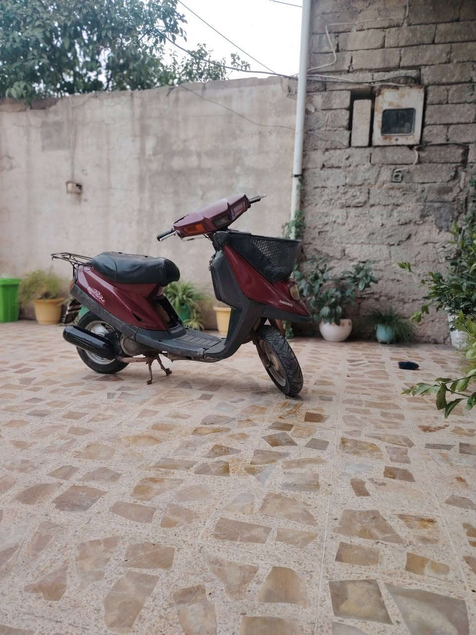 للبيع سعر 120بي مجال


**إذا كنت صاحب هذا الإعلان وتريد حذفه لأي سبب، رجاءا أرسل رسالة إلى الدعم الفني**