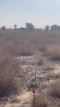 شارع ١٠٠ الحلقي • ١٠٠م • طابو صرف