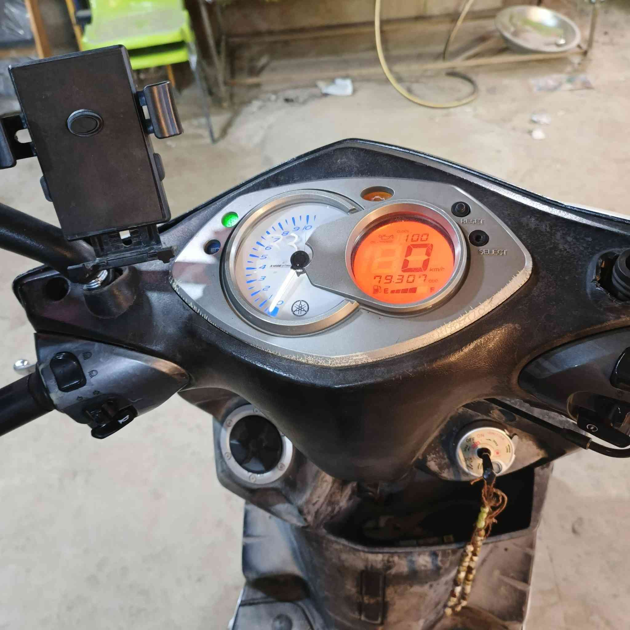 سلام عليكم سكنس فحل كوري نضافه فول تجي وتفحص كفاله عامه عنوان بلديات رقم ***********
