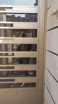 أسلام عليكم | كـادر عمـل👷🏻
تنظيف وصـبغ شبابيـك وشـد جـام
يوجـد كافـة انواع الجـام والآصـبـاغ
أتصال + واتساب *********** 
أتصال + واتساب *********** 
الخاص مفتوح،،،
