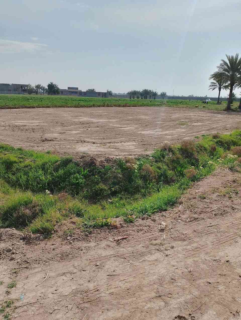 السلام عليكم يتوفر للبيع دونم ارض طابو صرف تحويل ثاني يوم متوفره جميع الخدمات ماء سقي وكهرباء موقعة منطقة الكص قريب جدا على مدرسة سبا الابتدائيه 
يصلح مزرعه ترفيهيه وكذلك للبناء 
***********
