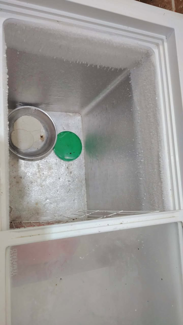 يا الله مكلفة بلنشر
مجمدة نوعية الحافظ حجم وسط
 تجميد فول نظيفةجدا ماداخلة تصليح
السعر ٢٥٠ بيها مجال
العنوان حي الجهاد قرب عمارة ابو سعدون

الرقم 📞 ***********
