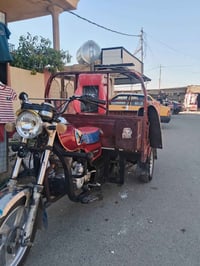 ستوته • ٢٠١٩ • شرط شاصي