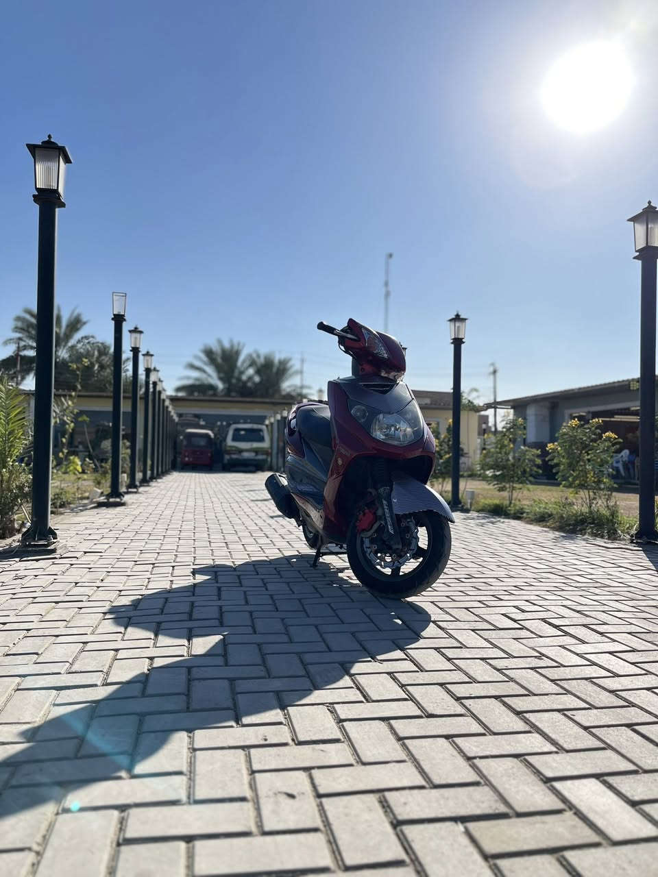 تفاصيل اتصال ***********
مراوس حسب القناعه
