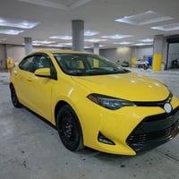 كورلا • ٢٠١٩ • رقم بغداد