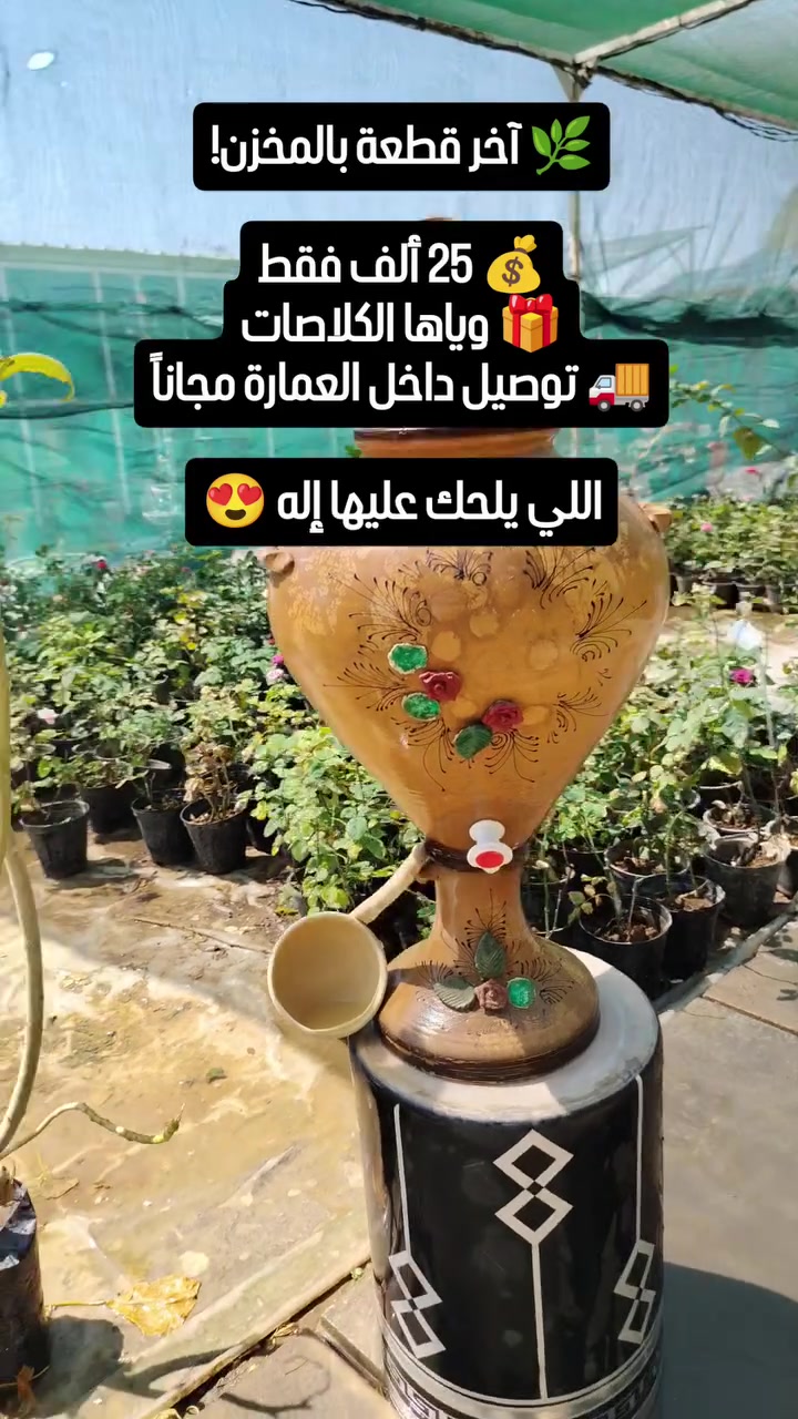 🌿 آخر قطعة لكيناها بالصدفة بالمخزن! 🌿
فرصة ما تتكرر 😍
🪴 آخر قطعة متوفرة 💰 السعر: 25,000 دينار فقط 🎁 مع الكلاصات 🚚 والتوصيل داخل العمارة مجاناً
إذا عجبتك لا تتأخر بالحجز، لأن المتوفر قطعة وحدة فقط.
📍مشتل الأميال - العمارة
#نباتات #مشتل_الأميال #تنسيق_حدائق #نباتات_داخلية


**إذا كنت صاحب هذا الإعلان وتريد حذفه لأي سبب، رجاءا أرسل رسالة إلى الدعم الفني**