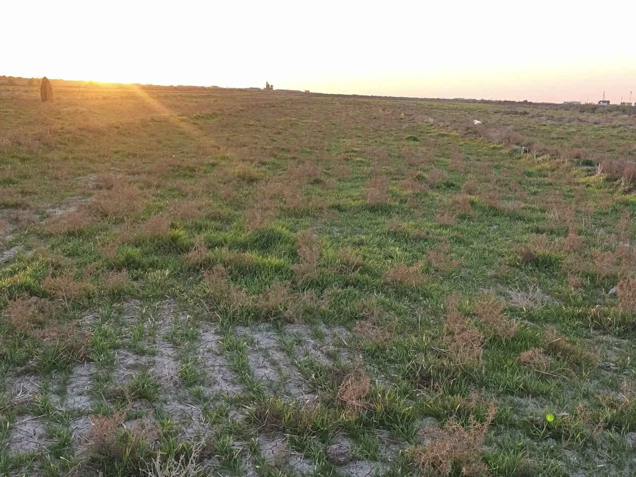 سفحه البيع 32دونم على طريق سيد محمد عكيل قرب حسينيه الفواطم  عله الشارع العام  التواصل عله الرقم فقط. *********** /***********
