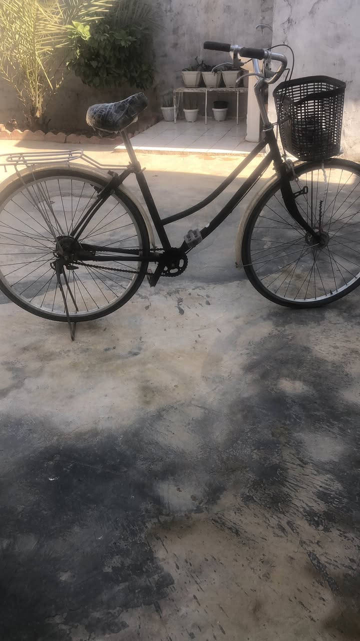 سلام عليكم. بايسكل للبيع حجم (٢٧ )نظافة (٨٠) ٪؜  مكاني كركوك -يايجي- رقم موبايل (***********)
