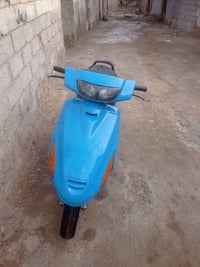 دراجة فراشة • شاميه