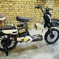 بايسكل شحن • ١٠٠٠ واط • باتري ونلي