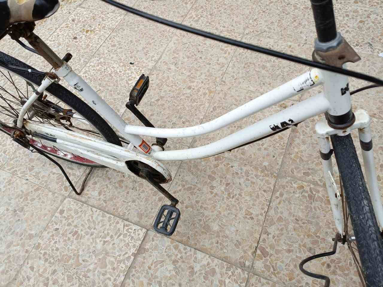 السلام عليكم بايسكل سياحي كلشي ما بيه للبيع سعر 45 وبيه مجال قليل مكاني بصره كزيزه


**إذا كنت صاحب هذا الإعلان وتريد حذفه لأي سبب، رجاءا أرسل رسالة إلى الدعم الفني**