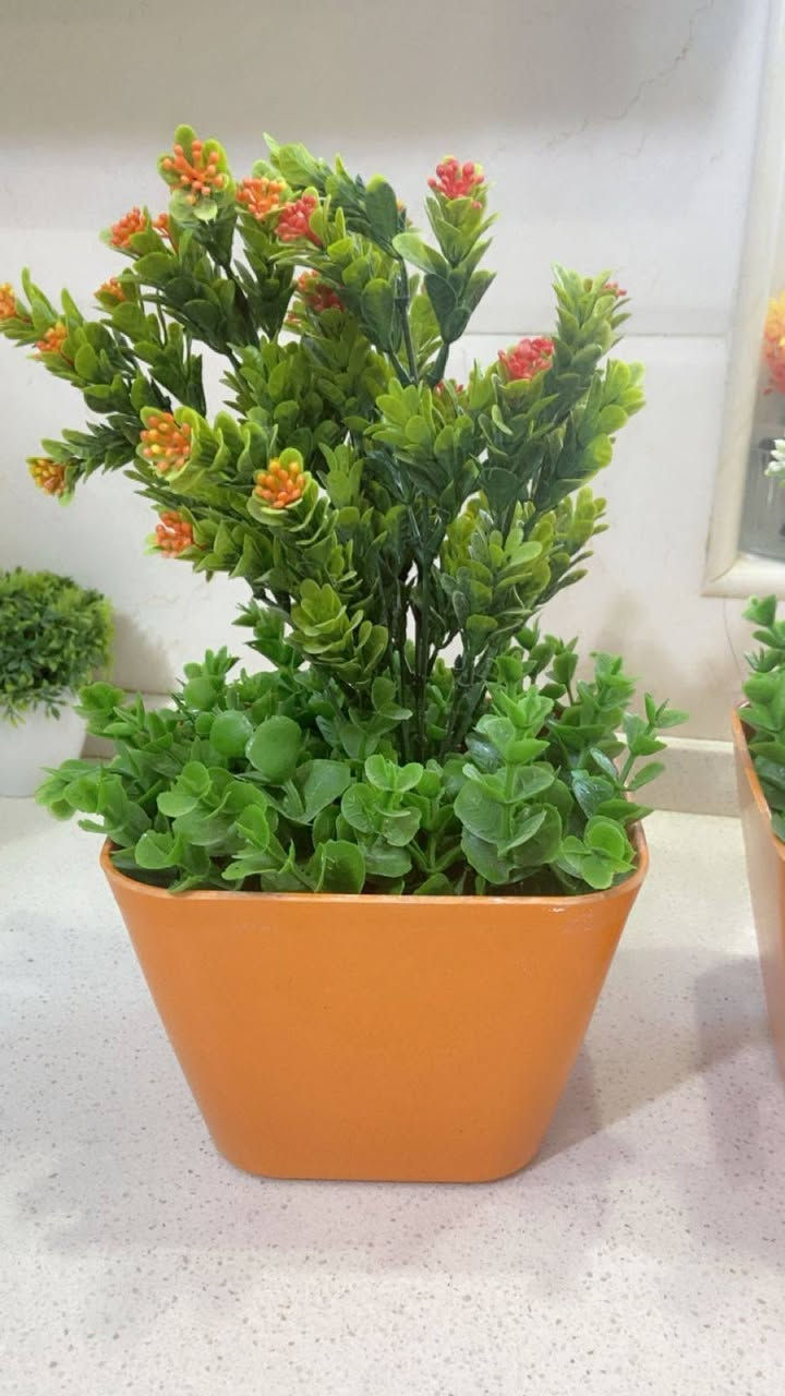 متوفر زرع صناعي اصلي درجه اولى وزن ثقيل
بايركسات حراري أحجام واسعار مختلفه
متوفر توصيل جميع المحافظات 3


**إذا كنت صاحب هذا الإعلان وتريد حذفه لأي سبب، رجاءا أرسل رسالة إلى الدعم الفني**