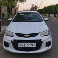 افيو ٢٠١٩ • رقم اربيل • كفالة صبغ وضربة