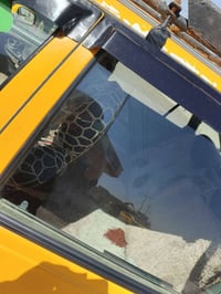 دايو سلو • نضيفه • كركوك