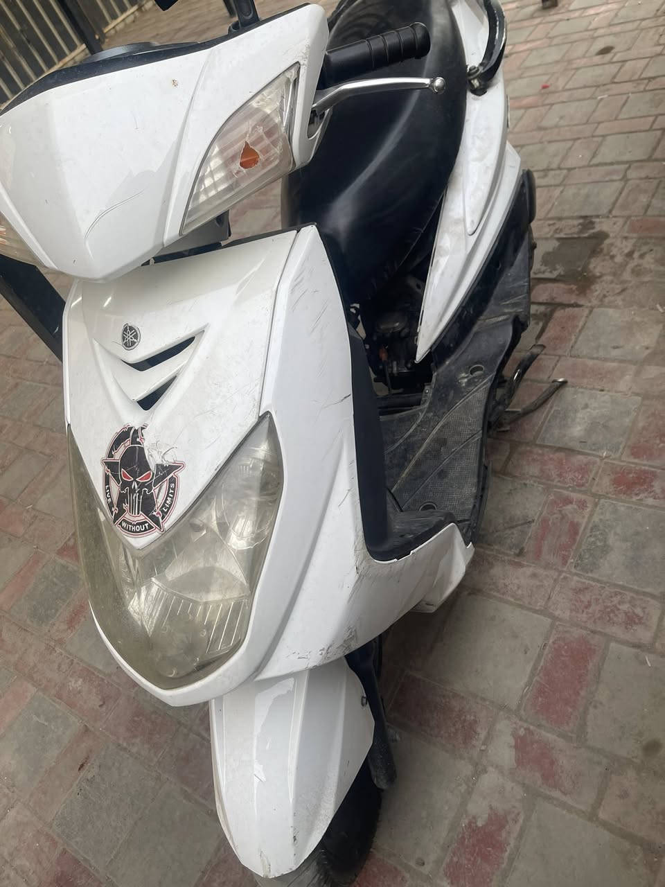 سلام عليكم 
سكنز فحل شلعه ومعدل 
مكينه 58
مكان بلديات 
سعر 450 
***********
