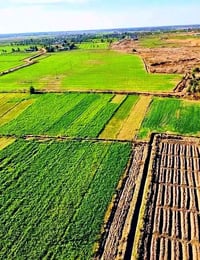 دوانم للبيع الدورة عرب جبور   على طريق حوراء بغداد  قريب سريع دورة يوس...