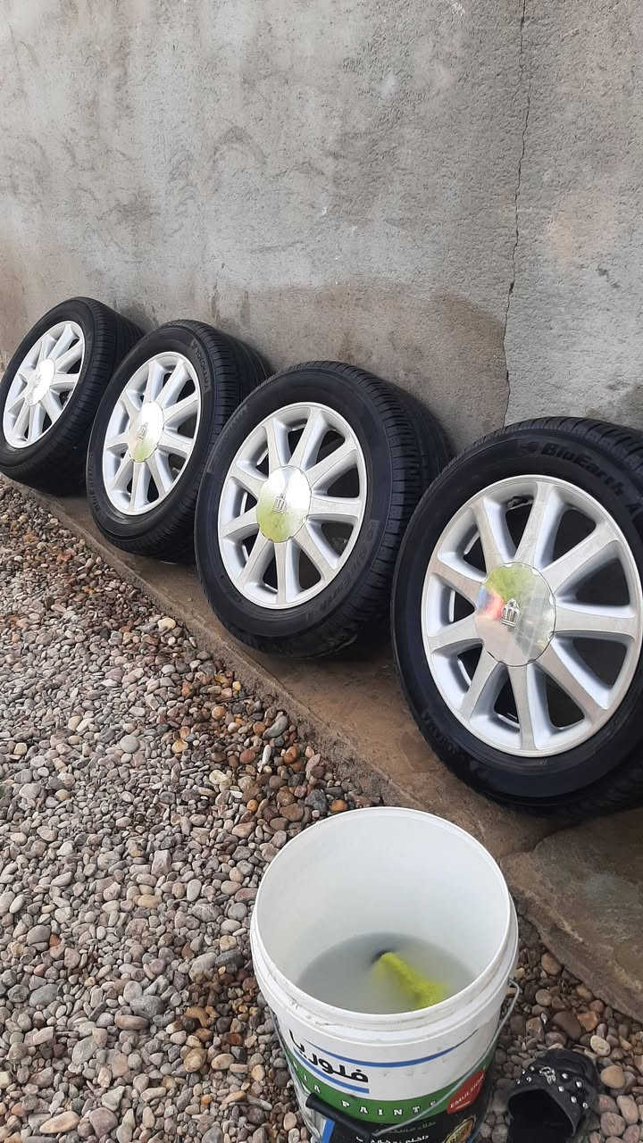 سلام عليكم تخم ويل للبيع عنوان بصره هارثه رقم ***********
