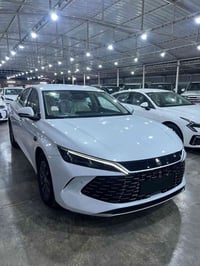 بي وايدي • جين L13 • ترقيم بغداد