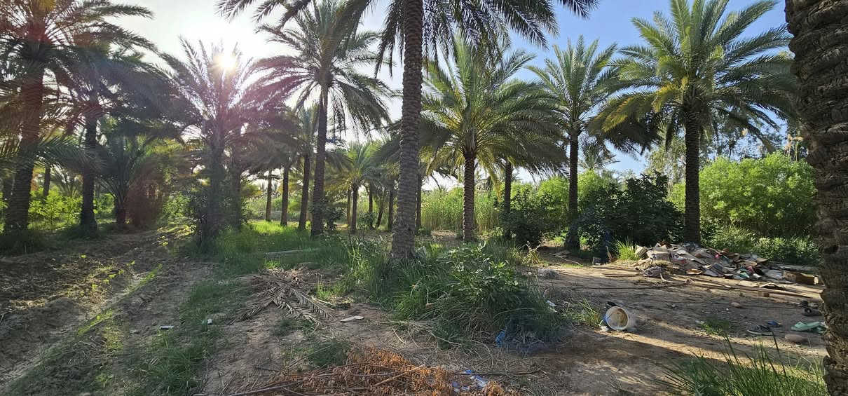 💥أهلا وسهلا بكم متابعينا الكرام 💥 
                    الملاك للعقارات كربلاء 
💢بستان مع دار حديث البناء طابوق درجة أولى 

💢جميع الخدمات متوفرة
💢 جنس الأرض طابو زراعي سند 25 تحويل أسهم بأسم المشتري 
💢 العنوان// كربلاء _ منطقة الإبراهيمية _مقابيل قناة كربلاء بكيلو _ تبعد عن الإمامين عليهم السلام 10 كيلو تقريبا 
🎬 يوجد فيديوا يوضح التفاصيل كاملة 

💢 النجاة في الصدق #المصداقية_عنواننا

أي إستفسار يرجى الاتصال أو المراسلة على الأرقام التالية: 
               محمد أبو ملاك الحسناوي 
☎️ ***********   ☎️***********
