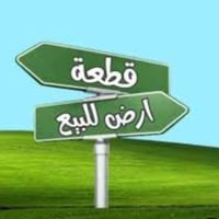 وادي علي • ١٠٠٠م • شارعين ٨م