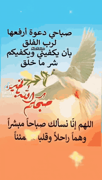 شقة 50م ايجار 
غرفه وصاله مطبخ صحيات 
حي السلام  مقابل المستشفى الألماني
 على الشارع العام   الشهر 200 مقدما اربعة اشهر 
       🔥 أنوار المدينة 🔥
    🔥 للوساطة العقارية 🔥

نقدّم لكم كل ما يناسبكم ويرضي أذواقكم في عالم العقارات:
🏠 بيع - شراء - رهن - إيجار

📞 للاستفسار:
📱 اتصال أو واتساب: ***********
💬 أو المراسلة على صفحتنا مباشرة

✔️ خيارات متعددة
✔️ أسعار مناسبة
✔️ خدمة راقية

📍 ثقتكم غايتنا، ورضاكم هدفنا.

#أنوار_المدينة_للوساطة_العقارية #
#بيع #شراء #رهن #إيجار #عقارات

#متابعين 
#للجميع 
#إشارة
