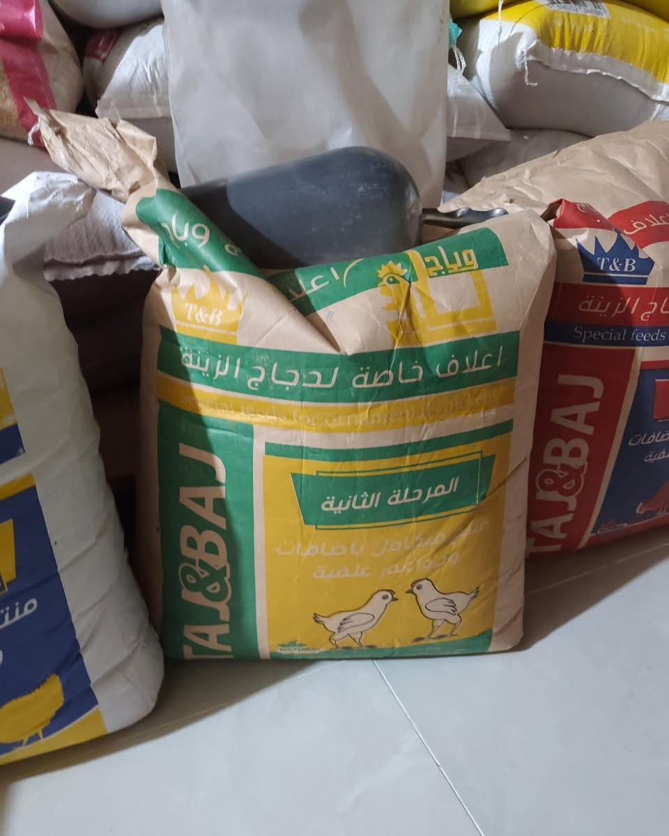 بفضل الله توفر 
علف تاج وباج 👑علف درجة اولى
توفر بثلاث مراحل 
المرحلة الاولى 
المرحلة الثانية 
المرحلة الثالثة 

و #أنا_أنافس_نفسي_فقط و #لا_أنافس_أحد 👨‍🌾🌕🌕
الزراعة ليست مجرد عمل، بل هي حياة تنبض": تعكس ارتباط الإنسان بالأرض كمصدر للغذاء والجمال🥀

#للطلب والاستفسار مراسلة بريد الصفحة 👍🏻 او الاتصال على الارقام التاليه 
*********** واتساب 
***********اتصال 
اوقات الدوام من الساعه 9 صباحا الى الساعة 11 مساءا 
الجمعه فقط الصبح نفتح العصر عطلة  رسمية 🙂

#بإداره_عمار عمر  الخليفاوي ✔️🟠

#عنواننا :
#الأنبار_ الرمادي _الخالدية شارع_ ابو فليس_ نزلة ابو فليس 800 متر على اليسار 👈 مقابل_ صيدلية_نور _الشفاء✔️✅✅

اللهم 🤲🏻 لا تحرمنا من خمس، سترك، ورزقك ، وعفوك، ورضاك، وحسن الخاتمة."... يارب 🤲🏻 
طيب الله اوقاتكم بالخير و تآلف القلوب

#زورونا وستجدون الافضل👍🏻.
