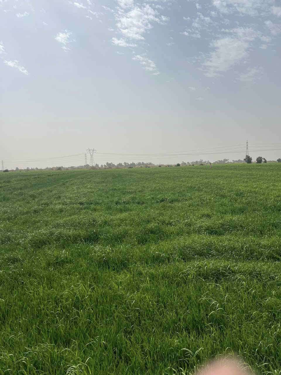 السلام عليكم ارض زراعيه
واسط / منطقه البسروكيه 20دونم عقد 35 الماطور بحلك الكاع متوفر ماء يمها شتاء وصيف مضخه كهربائيه  مثل ماموضح بلصور الاستفسار ع رقم ***********

/***********
