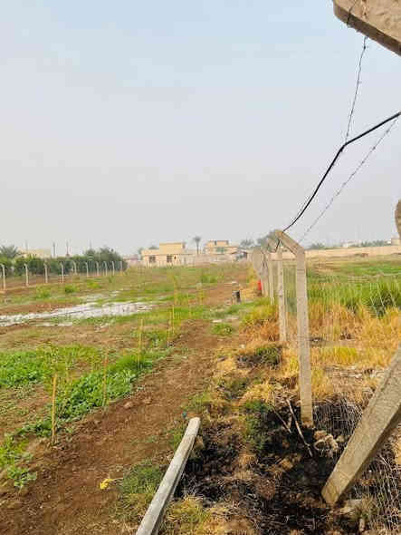 ---

🏡 للبيع دونم في منطقة التويثة – قرب مستشفى ابن الخطيب

✨ تفاصيل العقار:
مشجر حمضيات وكابرس
المساحة: دونم واحد

الواجهة: 22.5 متر
النزال: 105 متر

النوع: طابو ملك صرف

المنطقة: سكنية
الخدمات: ماء، كهرباء، سحب

موقع مميز:
يبعد 200 متر فقط عن السدة

على شارع عريض 10 متر
يبعد عن التبليط 100 متر فقط

💰 سعر مميز جداً

📞 للاستفسار: ***********
