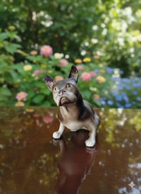 بسكويت إنجليزي • أصلي • نادر