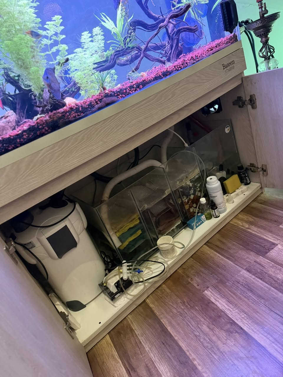 حوض قياس ١٢٠*٥٠*٦٠ عمل زجاج الترا كلير سامب مع كانستر ٣٠٠ لتر/بالساعة
الحوض وكامل ملحقاته للبيع ما عذا الانارة والاسماك
مكاني اربيل
السعر ٦٠٠ الف


**إذا كنت صاحب هذا الإعلان وتريد حذفه لأي سبب، رجاءا أرسل رسالة إلى الدعم الفني**