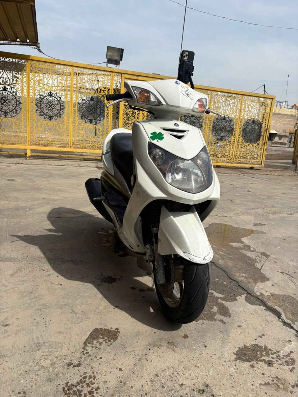 سلام عليكم شبابنه الطيبه سكنس فحل طلاعات جديده بجيس   كفاله عامه اوبلعافيه ع ياخذهة مكاني بغد الشعب. ***********
