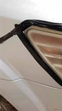 القوسيات • جلي لايتات • ضمان سنه