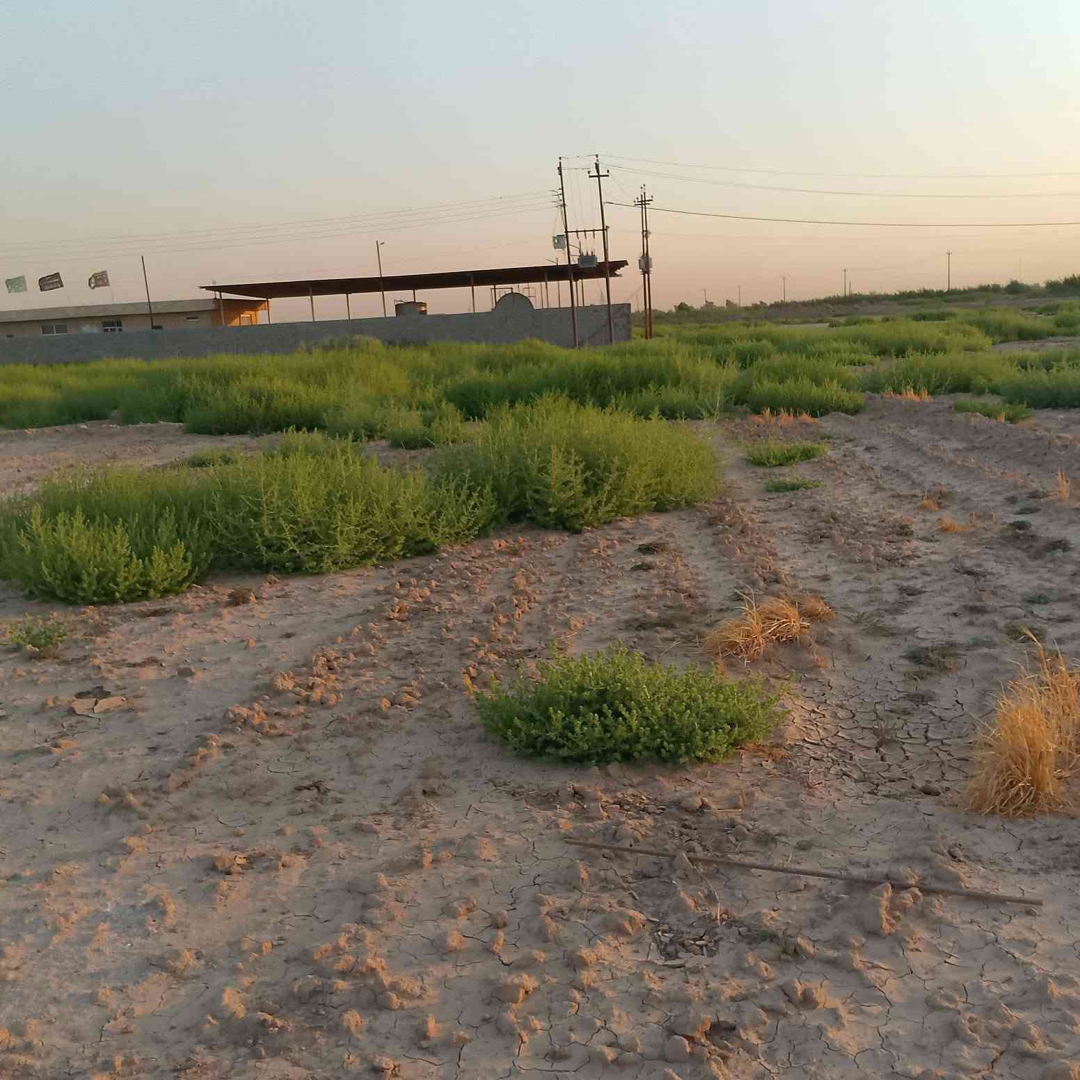 دونم البيع عبور الجسر الفرنسي مقابيل الشيخ حربي كماء واضح بل تصوير ***********
