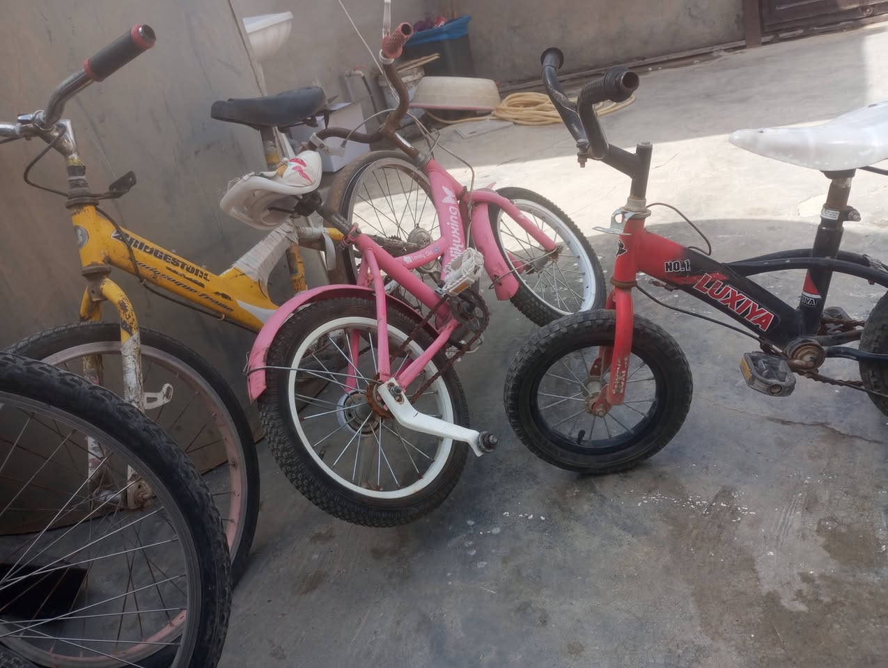 سلام عليكم بايسكلاات للبيع يرادلهن ترتيب 5السعر 35وبي مجال حك الجيه عنوان كركوك ***********شراي اتصل
