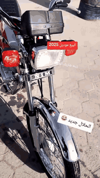 سلام عليكم دراجه ربع كير البيع موديل جديد 2025سعره 650مكان نجف مكفوله وراق سكنر


**إذا كنت صاحب هذا الإعلان وتريد حذفه لأي سبب، رجاءا أرسل رسالة إلى الدعم الفني**