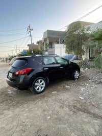 مصبوغه • حزام بدون تبديل • حلة