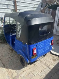 تكتك • أوراق اصولي • بدون صبغ