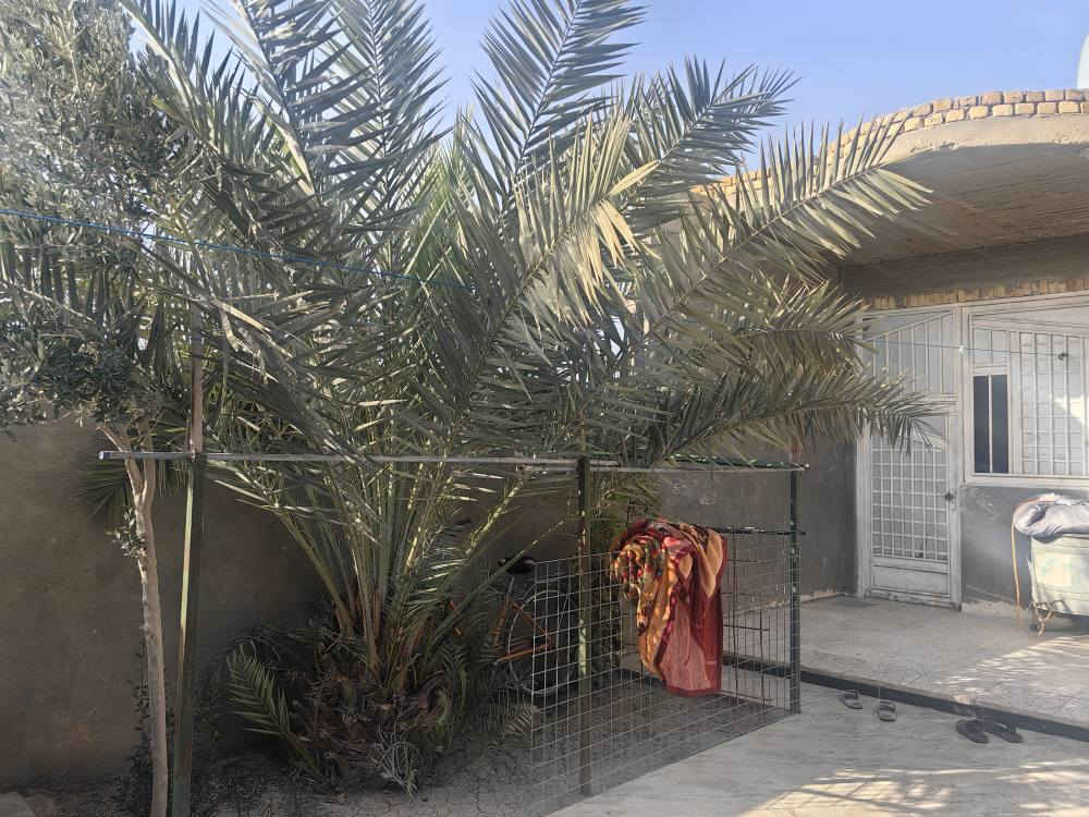 دار للبيع طابو مساحة 250 م بناء طابوق السقف كونكريت يحتوي 2 غرف، صاله، مطبخ، ديوانيه، ناحية الفضليه، شارع المحطه، رقم الهاتف*********** ، ***********
